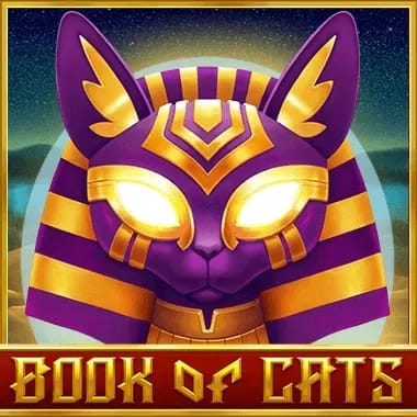 Brabet apk download